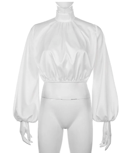 Fashion Chic Satin High Neck Blouse Shirt
